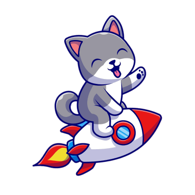 Cat on a rocket